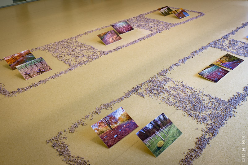 2Expo Mémoires Automnales090416-2